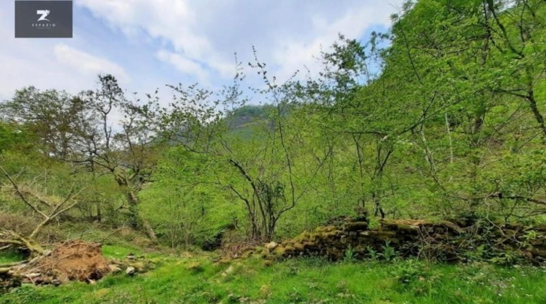 Cantabria - Selaya - 7675m2