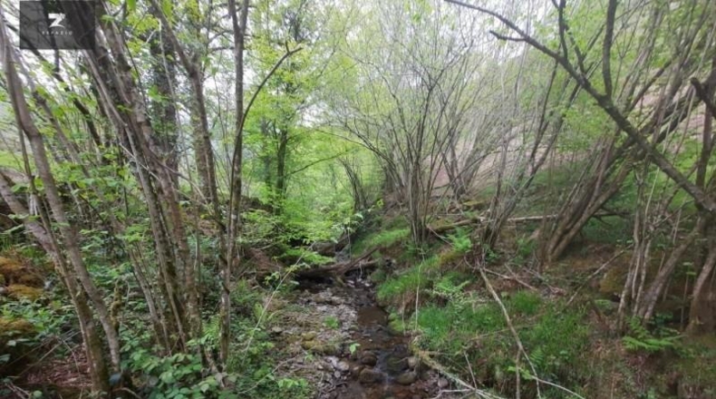 Cantabria - Selaya - 7675m2