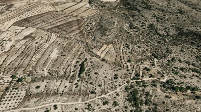 Alicante - Monòver - 18538m2
