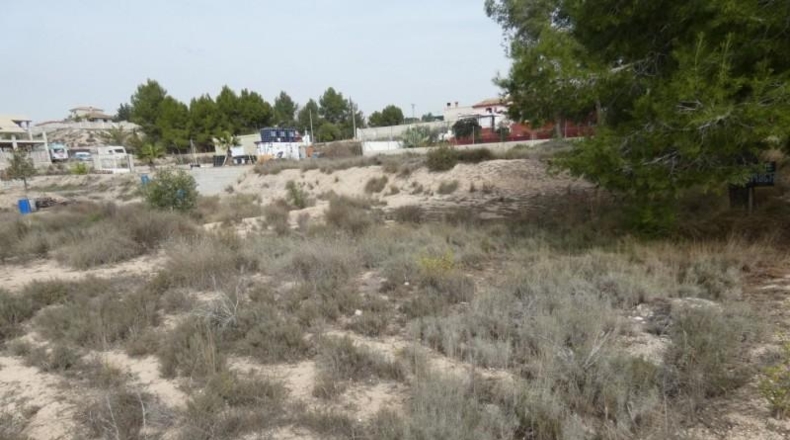 Múrcia - Molina de Segura - 1250m2