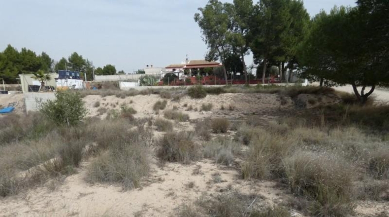 Múrcia - Molina de Segura - 1250m2