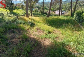 Tordera 734&nbsp;m²