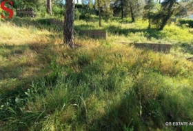 Tordera 734&nbsp;m²
