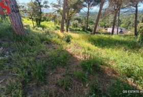 Tordera 734&nbsp;m²