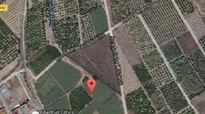 València - Castelló - 3951m2