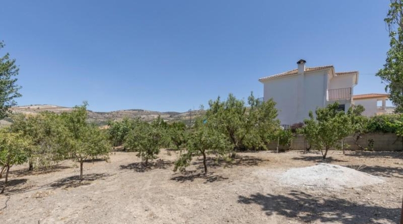 Granada - Arenas del Rey - 567m2