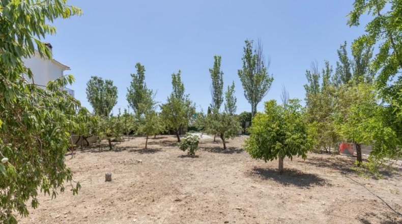 Granada - Arenas del Rey - 567m2