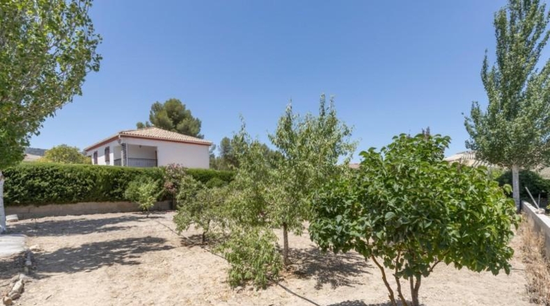 Granada - Arenas del Rey - 567m2