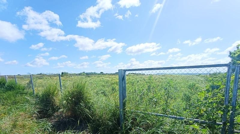 Cadiz - Chiclana de la Frontera - 3353m2
