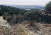 Non-developable land for sale on España, Olesa de Montserrat, ref: TR219354 photo