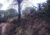 Non-developable land for sale on España, Olesa de Montserrat, ref: TR219354 photo