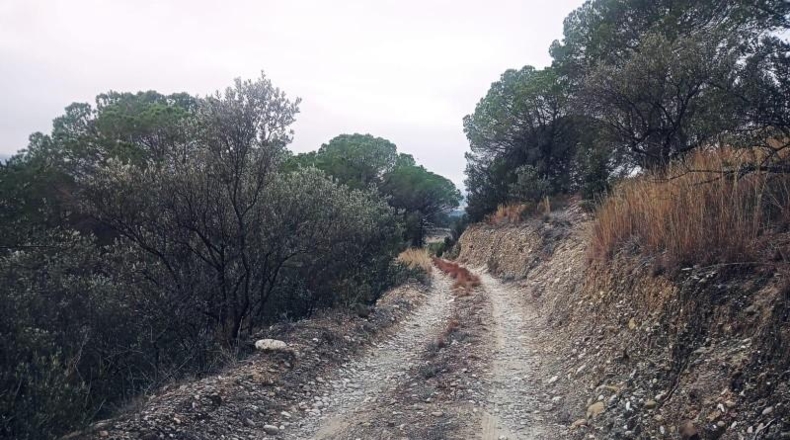 Barcelona - Olesa de Montserrat - 13m2