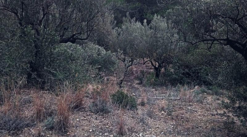 Barcelona - Olesa de Montserrat - 13m2