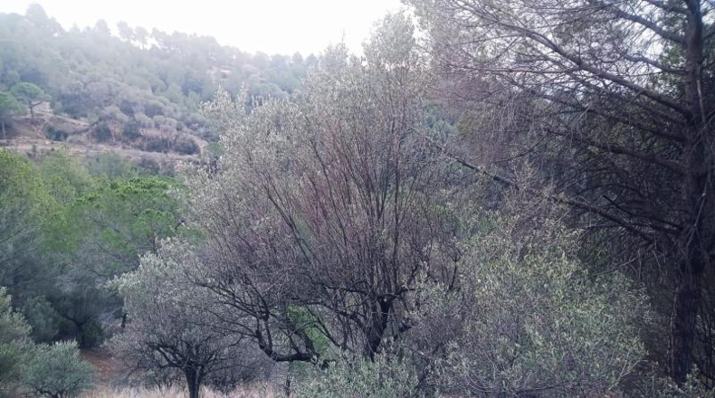 Barcelona - Olesa de Montserrat - 13m2