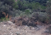 Non-developable land for sale on España, Olesa de Montserrat, ref: TR219354 photo