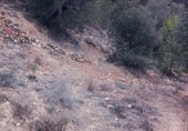 Non-developable land for sale on España, Olesa de Montserrat, ref: TR219354 photo