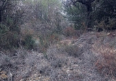 Non-developable land for sale on España, Olesa de Montserrat, ref: TR219354 photo
