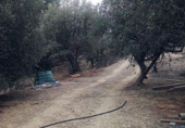 Non-developable land for sale on España, Olesa de Montserrat, ref: TR219354 photo