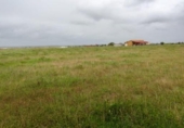 Terreno no urbanizable en venta en la España, Sierra de Fuentes, ref: TR129178 foto