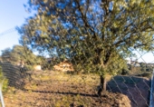 Sòl urbà en venda a la España, Valdeaveruelo, ref.: TR120924 foto