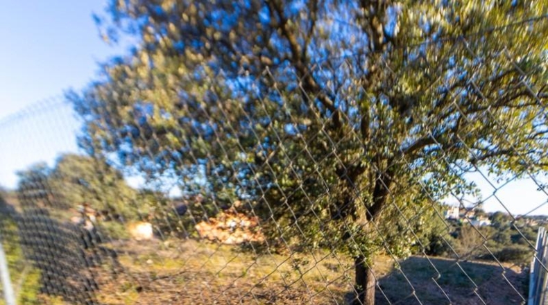 Guadalajara - Valdeaveruelo - 1228m2