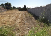 Non-developable land for sale on España, Las Torres de Cotillas, ref: TR118107 photo