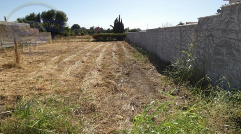 Múrcia - Las Torres de Cotillas - 600m2