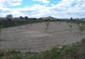 Terreny no urbanitzable en venda a la España, Calasparra, ref.: TR119476 foto