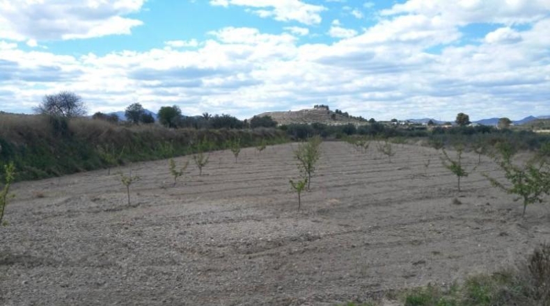 Múrcia - Calasparra - 9700m2