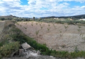 Terreny no urbanitzable en venda a la España, Calasparra, ref.: TR119476 foto