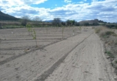 Terreny no urbanitzable en venda a la España, Calasparra, ref.: TR119476 foto