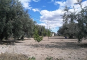Terreny no urbanitzable en venda a la España, Calasparra, ref.: TR119476 foto