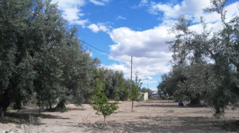 Múrcia - Calasparra - 9700m2