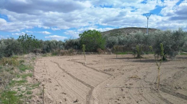 Múrcia - Calasparra - 9700m2
