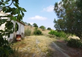 Casa de camp amb terreny en venda a la España, Puerto Lumbreras, ref.: TR304160 foto