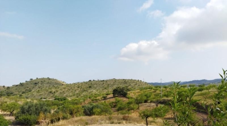 Murcia - Puerto Lumbreras - 50000m2