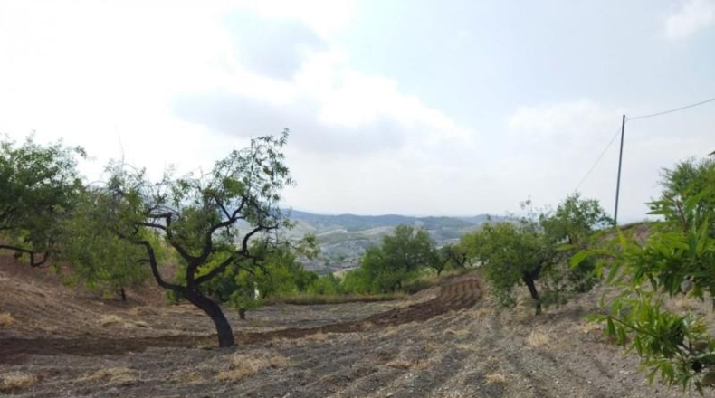 Murcia - Puerto Lumbreras - 50000m2