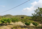 Casa de camp amb terreny en venda a la España, Puerto Lumbreras, ref.: TR304160 foto