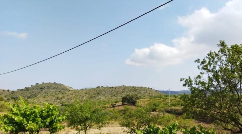 Murcia - Puerto Lumbreras - 50000m2