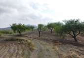 Casa de camp amb terreny en venda a la España, Puerto Lumbreras, ref.: TR304160 foto