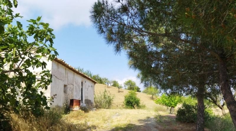 Murcia - Puerto Lumbreras - 50000m2