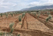 Отдельно стоящий дом с участком на продажу в городе Abrucena Фото