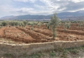 Отдельно стоящий дом с участком на продажу в городе Abrucena Фото