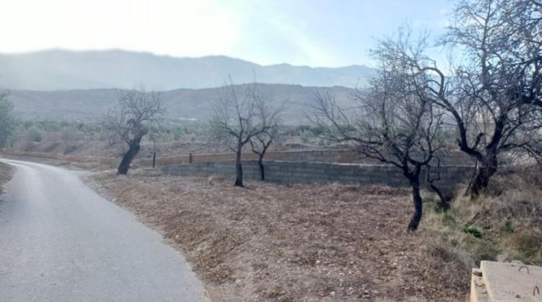 Almeria - Abrucena - 8839m2