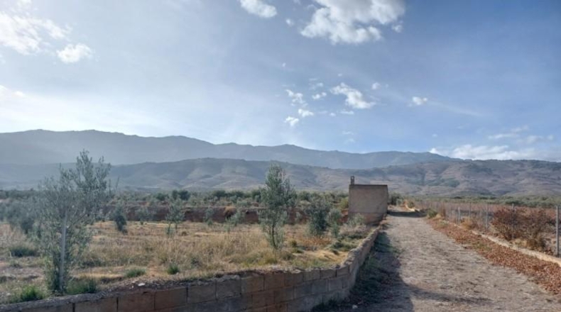 Almeria - Abrucena - 8839m2