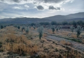 Отдельно стоящий дом с участком на продажу в городе Abrucena Фото