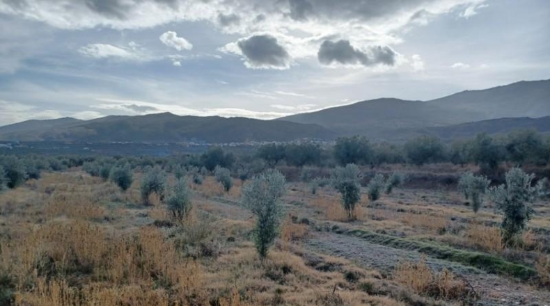 Almeria - Abrucena - 8839m2