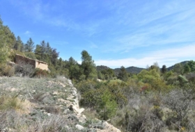 Arens de Lledó 98900&nbsp;м²