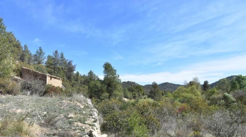 Teruel - Arens de Lledó - 98900m2