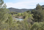 Detached villa with land for sale on España, Arens de Lledó, ref: TR299485 photo